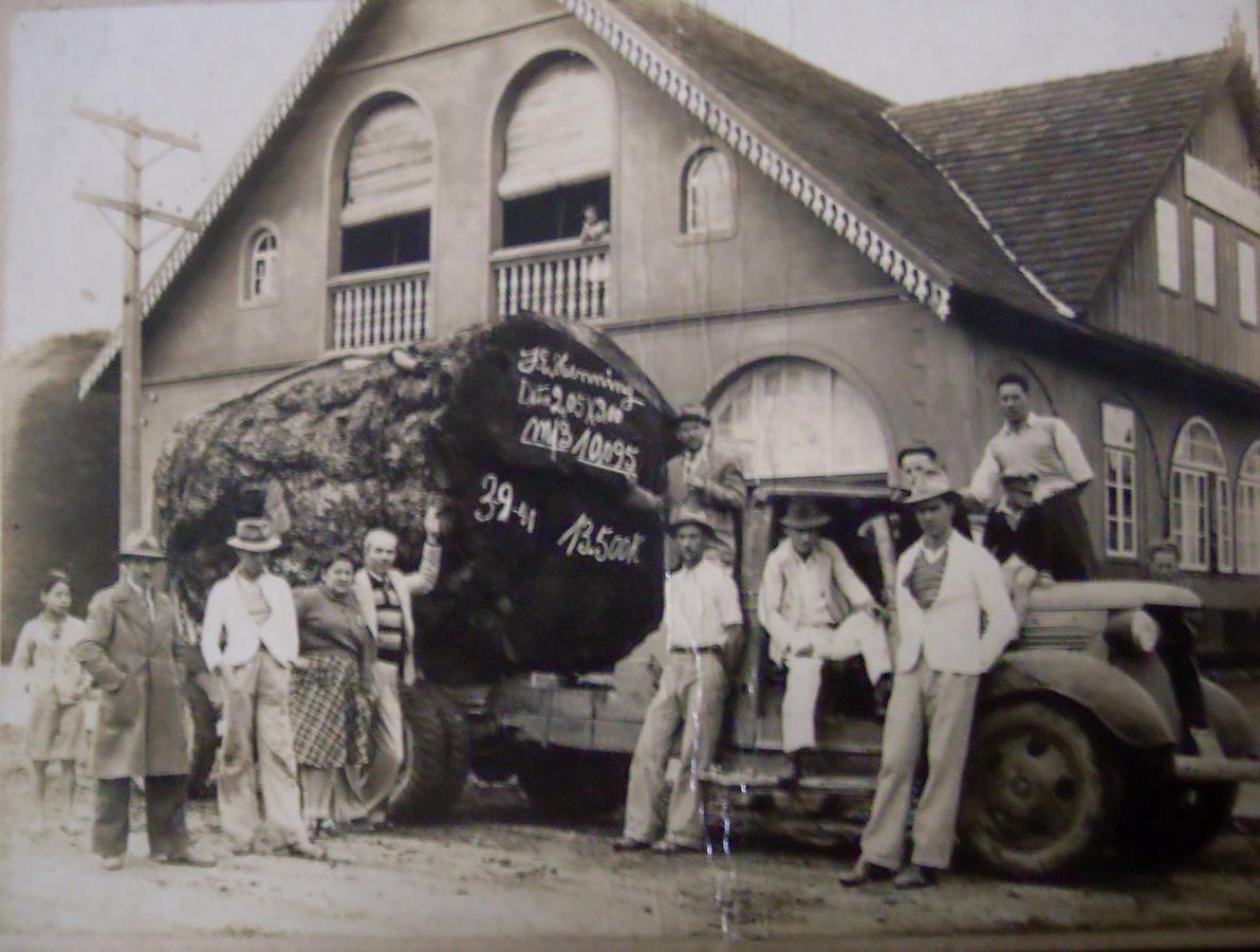 Hotel Scholze Canoinhas Buitenkant foto